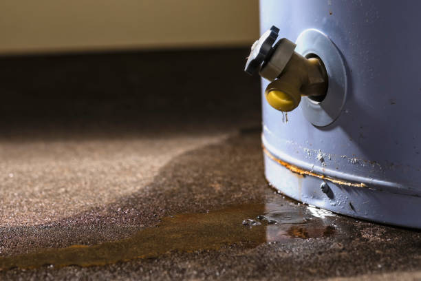 Best Water damage restoration near me  in Kekoskee, WI