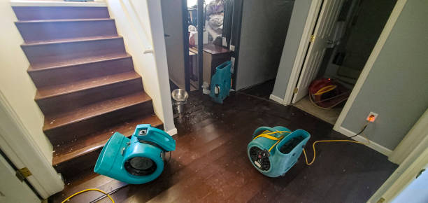 Best Ceiling water damage repair  in Kekoskee, WI
