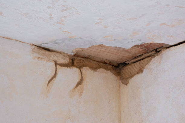 Best Water damage restoration process  in Kekoskee, WI