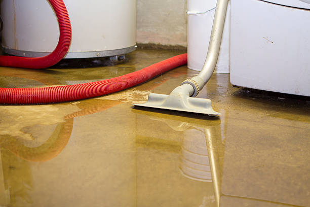 Best Local water damage restoration  in Kekoskee, WI