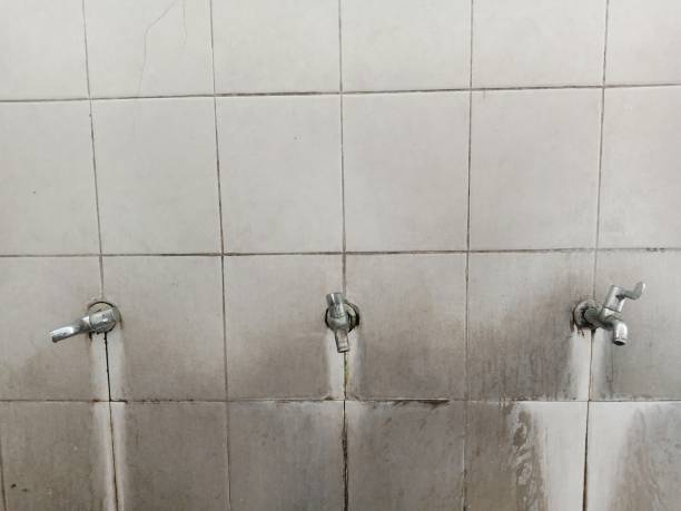 Best Water damage cleanup near me  in Kekoskee, WI