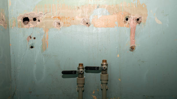 Best Carpet water damage restoration  in Kekoskee, WI