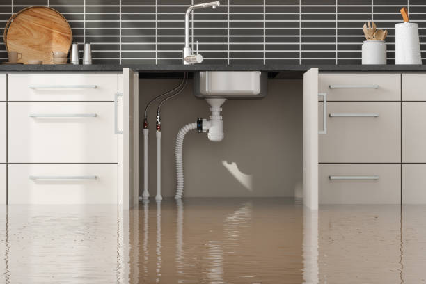 Best Emergency water damage restoration  in Kekoskee, WI