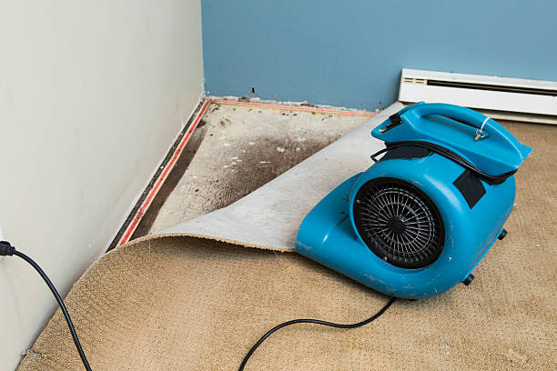  Kekoskee, WI Water damage restoration Pros